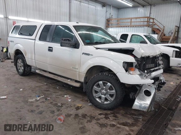 2014 Ford F-150 XL with VIN 1FTFX1ET9EFA62502, listed as a IAAI auction lot 41575300 with 123,698 mi miles and . Bid and sale history available at DreamBid. Image 1.