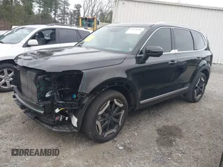 2024 Kia Telluride EX with VIN 5XYP34GC6RG445587, listed as a IAAI auction lot 41478254 with 21,299 mi miles and . Bid and sale history available at DreamBid. Image 14.