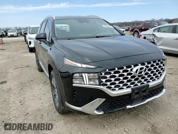 2022 Hyundai Santa Fe SEL with VIN 5NMS24AJ1NH429706, listed as a Copart auction lot 49584485 with 83,535 mi miles and Salvage Title. Bid and sale history available at DreamBid. Image 12.