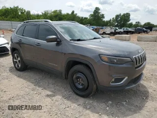2019 Jeep Cherokee Limited with VIN 1C4PJMDN1KD259536, listed as a Copart auction lot 60029695 with 117,294 mi miles and Salvage title. Bid and sale history available at DreamBid. Image 4.