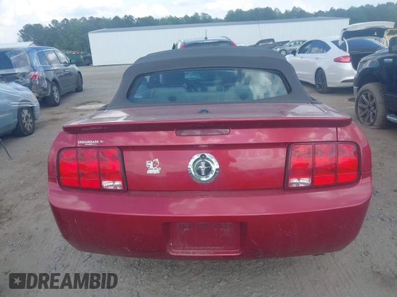 2007 Ford Mustang Deluxe with VIN 1ZVHT84NX75334058, listed as a IAAI auction lot 42187157 with Not provided miles and . Bid and sale history available at DreamBid. Image 15.