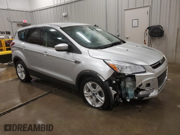 2014 Ford Escape SE with VIN 1FMCU0GX7EUD32727, listed as a Copart auction lot 44636225 with 133,296 mi miles and Salvage Title. Bid and sale history available at carsss.com. Image 4.