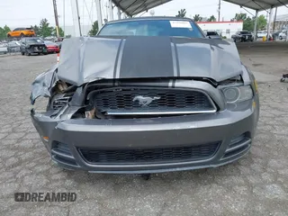 2013 Ford Mustang V6 with VIN 1ZVBP8EM8D5248243, listed as a IAAI auction lot 42429803 with 130,099 mi miles and . Bid and sale history available at DreamBid. Image 6.