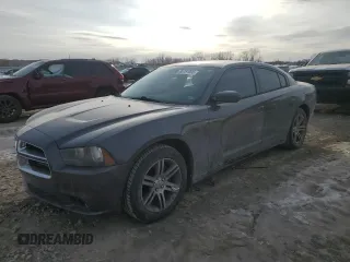 2013 Dodge Charger Police with VIN 2C3CDXAG3DH721442, listed as a Copart auction lot 88781005 with 132,786 mi miles and Salvage Title. Bid and sale history available at carsss.com. Image 1.