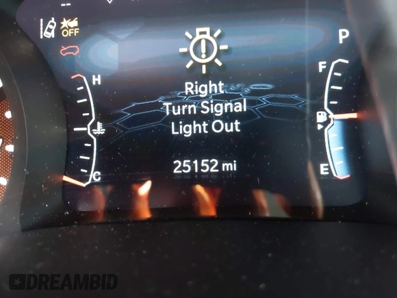 2024 Jeep Compass Trailhawk with VIN 3C4NJDDN2RT602771, listed as a IAAI auction lot 42462793 with 25,152 mi miles and . Bid and sale history available at DreamBid. Image 15.