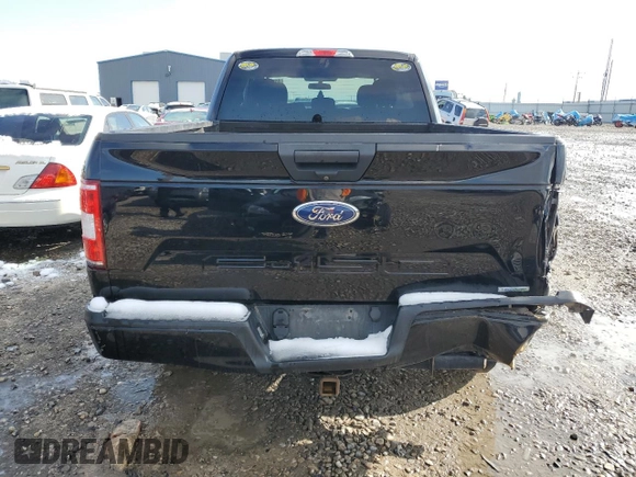 2018 Ford F-150 XL with VIN 1FTEX1EP5JKC12119, listed as a Copart auction lot 46260685 with 161,053 mi miles and Salvage Title. Bid and sale history available at carsss.com. Image 6.