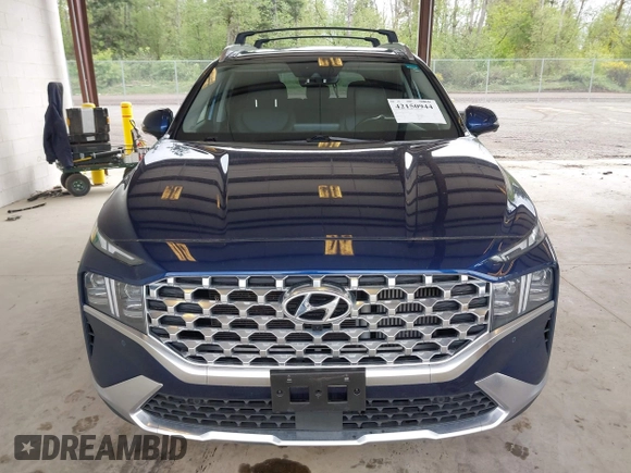 2023 Hyundai Santa Fe Limited with VIN 5NMS4DALXPH486503, listed as a IAAI auction lot 42150944 with 17,197 mi miles and . Bid and sale history available at DreamBid. Image 13.