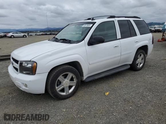 2007 Chevrolet TrailBlazer LS with VIN 1GNDT13S672122024, listed as a Copart auction lot 53678085 with 203,456 mi miles and Salvage Title. Bid and sale history available at DreamBid. Image 1.