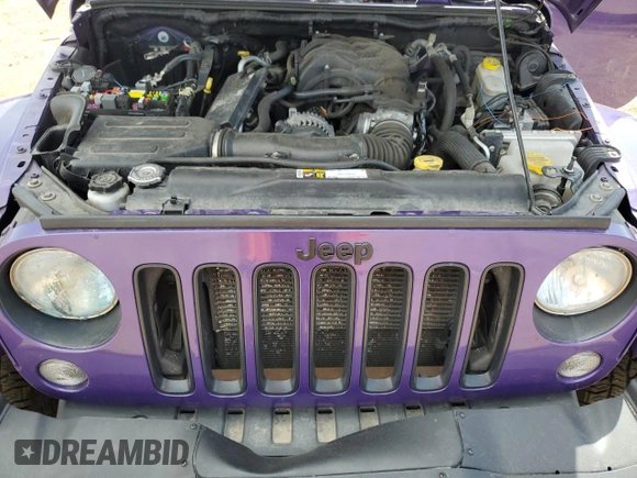 2016 Jeep Wrangler Unlimited 75th Anniversary with VIN 1C4BJWEG1GL228659, listed as a Copart auction lot 44616325 with 125,365 mi miles and Salvage title. Bid and sale history available at DreamBid. Image 12.