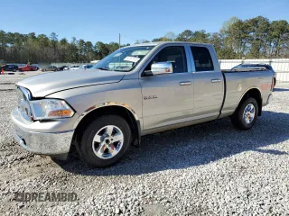 2010 Dodge 1500 SLT z VIN 1D7RB1GP4AS189922, wystawiony jako Copart lot #50157175 z przebiegiem 175 363 mil mil oraz Szkoda całkowita • Salvage title. Historia ofert i sprzedaży dostępna na DreamBid. Obrazek 1.