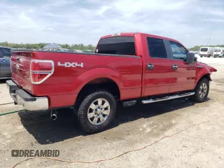 2010 Ford F-150 XL with VIN 1FTFW1EV6AFB25487, listed as a Copart auction lot 55269255 with 206,382 mi miles and Salvage Title. Bid and sale history available at DreamBid. Image 3.