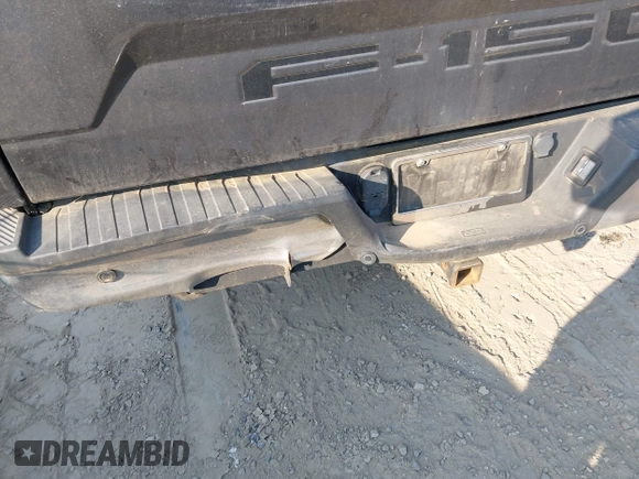 2019 Ford F-150 XL with VIN 1FTEW1C48KKF03291, listed as a IAAI auction lot 42545478 with 56,418 mi miles and . Bid and sale history available at DreamBid. Image 6.