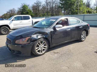 2010 Nissan Maxima SV with VIN 1N4AA5AP2AC819785, listed as a Copart auction lot 66507235 with 114,912 mi miles and Salvage title. Bid and sale history available at DreamBid. Image 1.