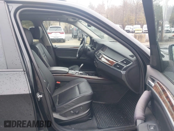 2009 BMW X5 30i with VIN 5UXFE43529L266415, listed as a IAAI auction lot 41961999 with 164,351 mi miles. Bid and sale history available at carsss.com. Image 5.