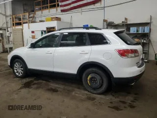 2009 Mazda CX-9 Touring with VIN JM3TB28A490173718, listed as a Copart auction lot 55008985 with 200,441 mi miles and Clean Title. Bid and sale history available at carsss.com. Image 2.