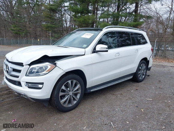 2014 Mercedes-Benz GL-Class GL 450 with VIN 4JGDF7CE4EA373278, listed as a IAAI auction lot 41802096 with 80,251 mi miles. Bid and sale history available at carsss.com. Image 19.