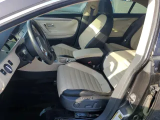 2010 Volkswagen CC Luxury with VIN WVWHL7AN5AE528229, listed as a Copart auction lot 74312554 with 0 mi miles and Salvage Title. Bid and sale history available at carsss.com. Image 7.