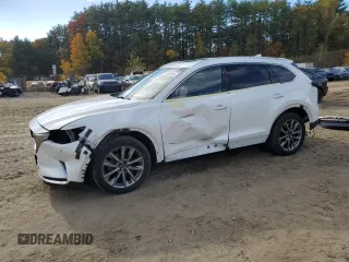 2019 Mazda CX-9 Signature with VIN JM3TCBEY7K0319758, listed as a Copart auction lot 74976324 with 74,733 mi miles and Salvage Title. Bid and sale history available at carsss.com. Image 1.