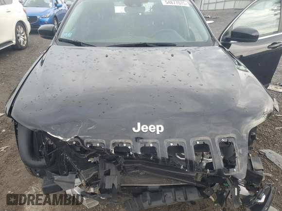 2021 Jeep Cherokee Limited with VIN 1C4PJMDX1MD206064, listed as a Copart auction lot 54877075 with 41,285 mi miles and Salvage title. Bid and sale history available at DreamBid. Image 12.