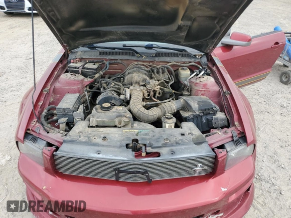 2005 Ford Mustang Deluxe with VIN 1ZVFT80N055116785, listed as a Copart auction lot 53032375 with 132,420 mi miles and Salvage Title. Bid and sale history available at carsss.com. Image 11.