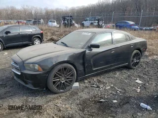 2013 Dodge Charger SE with VIN 2C3CDXBG2DH554361, listed as a Copart auction lot 49172165 with 0 mi miles and Clean Title. Bid and sale history available at carsss.com. Image 1.