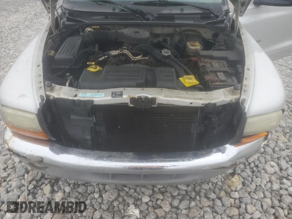 2001 Dodge Dakota with VIN 1B7GL22XX1S313638, listed as a Copart auction lot 43059385 with 114,298 mi miles and Salvage Title. Bid and sale history available at DreamBid. Image 12.