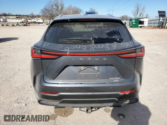 2024 Lexus NX with VIN 2T2GGCEZ3RC052661, listed as a Copart auction lot 86566104 with 10,825 mi miles and Salvage Title. Bid and sale history available at carsss.com. Image 6.