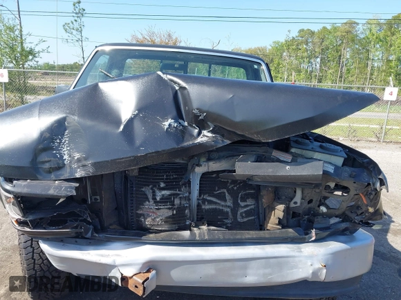 1995 Ford F-150 with VIN 1FTDF15YXSLB17767, listed as a IAAI auction lot 41953525 with Not provided miles and . Bid and sale history available at DreamBid. Image 6.