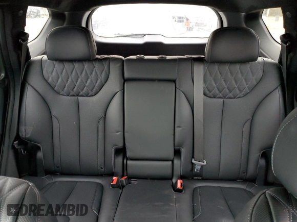 2023 Hyundai Santa Fe Calligraphy with VIN 5NMS5DAL2PH643292, listed as a Copart auction lot 48426145 with 16,666 mi miles and Salvage Title. Bid and sale history available at carsss.com. Image 10.