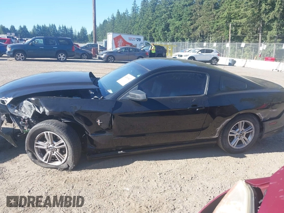 2013 Ford Mustang V6 with VIN 1ZVBP8AM3D5269846, listed as a IAAI auction lot 42460827 with 80,934 mi miles and . Bid and sale history available at DreamBid. Image 13.