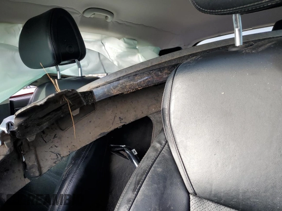2016 Kia Sorento EX with VIN 5XYPH4A16GG033501, listed as a Copart auction lot 81716374 with Not Provided miles and Salvage Title. Bid and sale history available at DreamBid. Image 13.