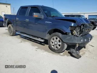 2013 Ford F-150 XL with VIN 1FTFW1CF9DFD82191, listed as a Copart auction lot 49337715 with 222,339 mi miles and Salvage title. Bid and sale history available at DreamBid. Image 4.