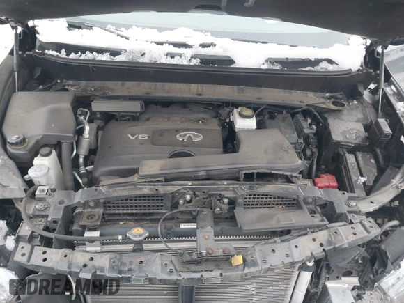 2019 Infiniti QX60 Luxe with VIN 5N1DL0MM3KC532832, listed as a IAAI auction lot 41576352 with 68,691 mi miles and . Bid and sale history available at DreamBid. Image 10.