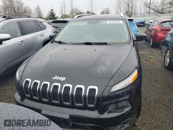 2016 Jeep Cherokee Limited with VIN 1C4PJLDS9GW259103, listed as a Copart auction lot 50390665 with 172,747 mi miles and Clean Title. Bid and sale history available at carsss.com. Image 5.
