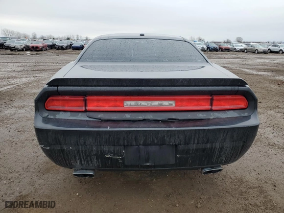 2010 Dodge Challenger R/T with VIN 2B3CJ5DT2AH122661, listed as a Copart auction lot 46820555 with 119,935 mi miles and Salvage Title. Bid and sale history available at carsss.com. Image 6.