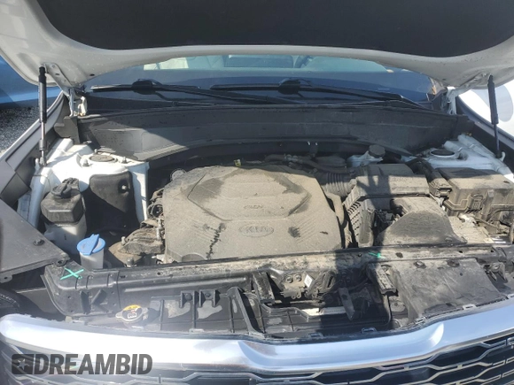 2020 Kia Telluride EX with VIN 5XYP34HC3LG041698, listed as a Copart auction lot 53478405 with 87,825 mi miles and Salvage title. Bid and sale history available at DreamBid. Image 11.