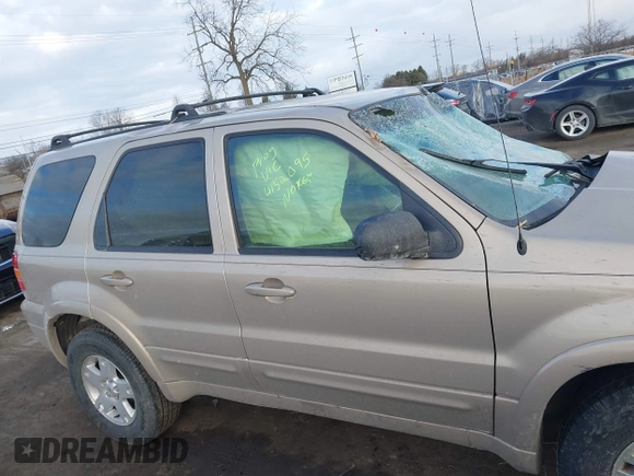 2007 Ford Escape Limited with VIN 1FMCU04137KC07416, listed as a IAAI auction lot 41452095 with Not provided miles and . Bid and sale history available at DreamBid. Image 12.