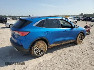 2021 Ford Escape SEL with VIN 1FMCU9H66MUA51351, listed as a Copart auction lot 53449225 with Not provided miles and Salvage title. Bid and sale history available at DreamBid. Image 3.