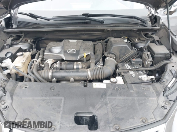 2018 Lexus NX with VIN JTJBARBZ4J2159340, listed as a IAAI auction lot 42077081 with 36,680 mi miles. Bid and sale history available at carsss.com. Image 10.