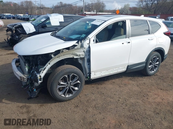 2020 Honda CR-V EX with VIN 2HKRW2H50LH687568, listed as a IAAI auction lot 41984058 with 36,597 mi miles and . Bid and sale history available at DreamBid. Image 18.