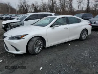 2023 Lexus ES 350 Ultra Luxury with VIN 58AFZ1B17PU148391, listed as a Copart auction lot 84237504 with Not provided miles and Non repairable. Bid and sale history available at DreamBid. Image 1.