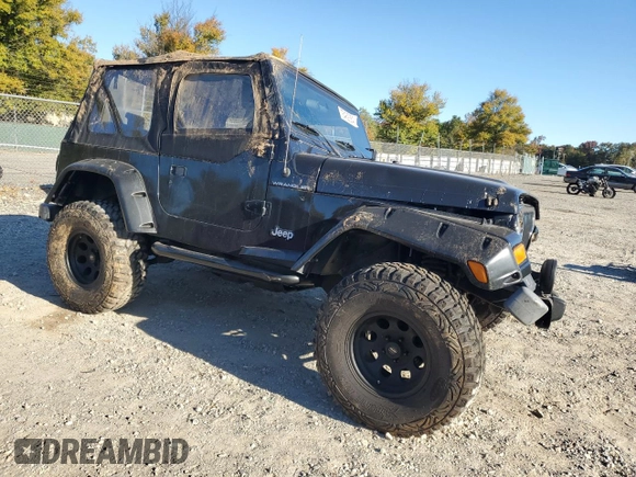 2002 Jeep Wrangler SE with VIN 1J4FA29P22P764181, listed as a Copart auction lot 76469364 with 134,275 mi miles and Salvage Title. Bid and sale history available at DreamBid. Image 4.