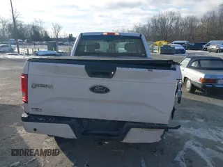 2017 Ford F-150 XL with VIN 1FTEX1EP1HKC49713, listed as a IAAI auction lot 41231172 with 250,679 mi miles. Bid and sale history available at carsss.com. Image 16.