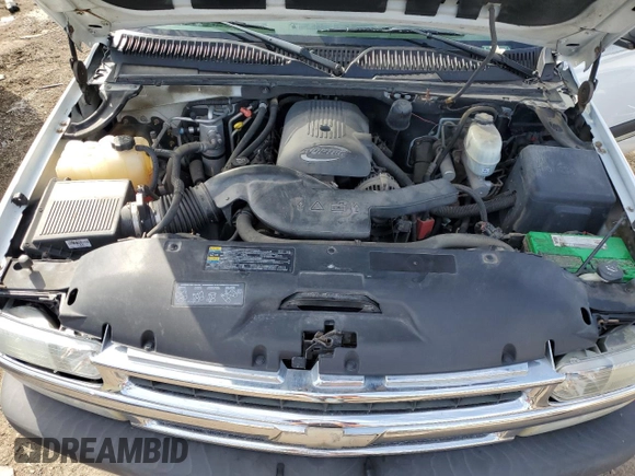 2005 Chevrolet Tahoe LS with VIN 1GNEC13V15J132865, listed as a Copart auction lot 53195575 with 166,043 mi miles and Clean Title. Bid and sale history available at DreamBid. Image 11.