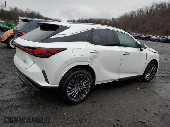 2024 Lexus RX with VIN JTJCJMGA9R2015210, listed as a Copart auction lot 49382125 with Not Provided miles and Salvage Title. Bid and sale history available at carsss.com. Image 3.