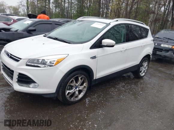 2014 Ford Escape Titanium with VIN 1FMCU9J94EUD49614, listed as a IAAI auction lot 42005864 with 87,779 mi miles. Bid and sale history available at carsss.com. Image 2.