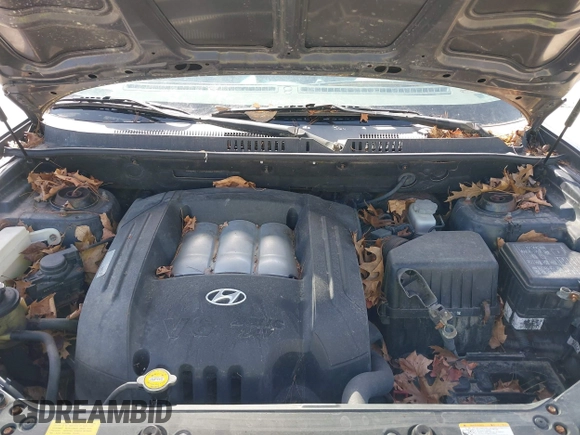 2006 Hyundai Santa Fe GLS with VIN KM8SC73DX6U057052, listed as a IAAI auction lot 42136019 with 159,272 mi miles. Bid and sale history available at carsss.com. Image 10.