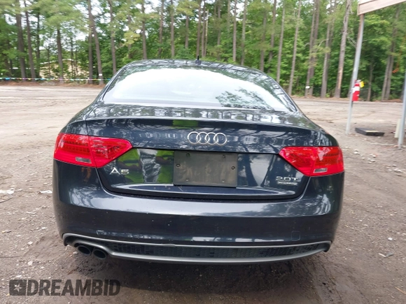 2016 Audi A5 Premium with VIN WAUD2AFR5GA029499, listed as a IAAI auction lot 42480497 with 197,496 mi miles and . Bid and sale history available at DreamBid. Image 16.