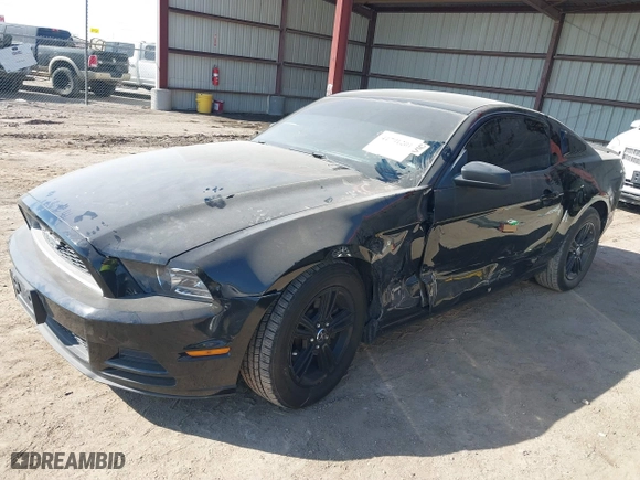 2013 Ford Mustang V6 with VIN 1ZVBP8AM2D5279820, listed as a IAAI auction lot 41791201 with 163,759 mi miles. Bid and sale history available at carsss.com. Image 17.