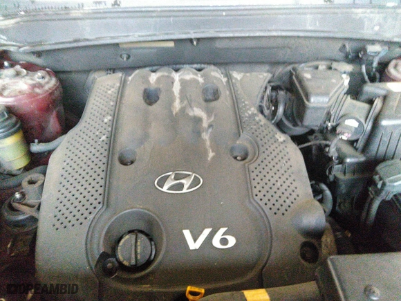 2007 Hyundai Santa Fe GLS with VIN 5NMSG13D27H103441, listed as a IAAI auction lot 42011361 with 246,590 mi miles. Bid and sale history available at carsss.com. Image 10.